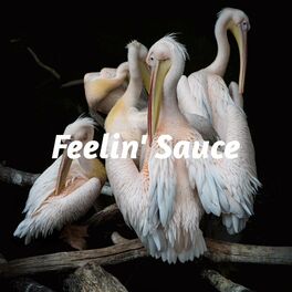 Album cover of Feelin' Sauce