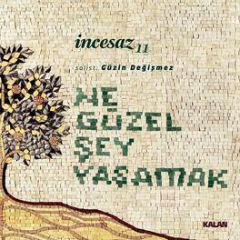 Album cover of Ne Güzel Şey Yaşamak