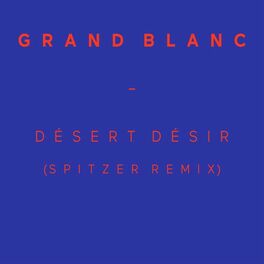 Album cover of Désert désir (Spitzer Remix)