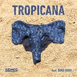 Album cover of TROPICANA (feat. Boro Boro)