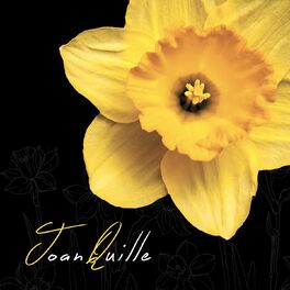 Album picture of Joan quille