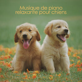 Album cover of Musique de piano relaxante pour chiens - Thérapie sonore, relaxation profonde, anti-anxiété, calme, chien heureux