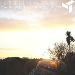 Album cover of Bipolar Paradise