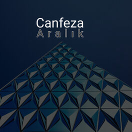 Album cover of Aralık