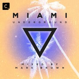 Album cover of Miami Underground 2019 (DJ Mix)