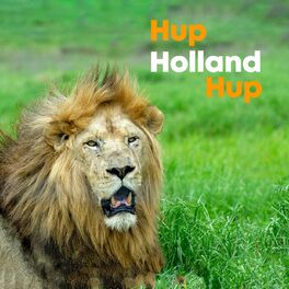 Album picture of HUP HOLLAND HUP | Oranje Hits