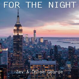 Album cover of For the Night