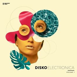 Album cover of Disko Electronica, Vol. 1