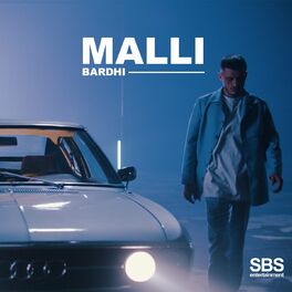 Album cover of MALLI