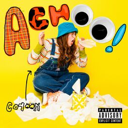 Album cover of achoo!
