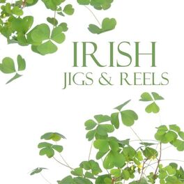 Album cover of Irish Jigs and Reels
