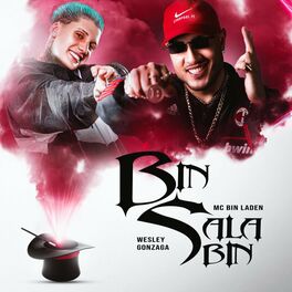 Album cover of Bin Salabin