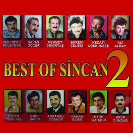 Album cover of Best Of Sincan 2