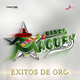 Album cover of Éxitos de Oro