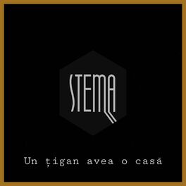 Album cover of Un țigan avea o casă (feat. Sânziana)