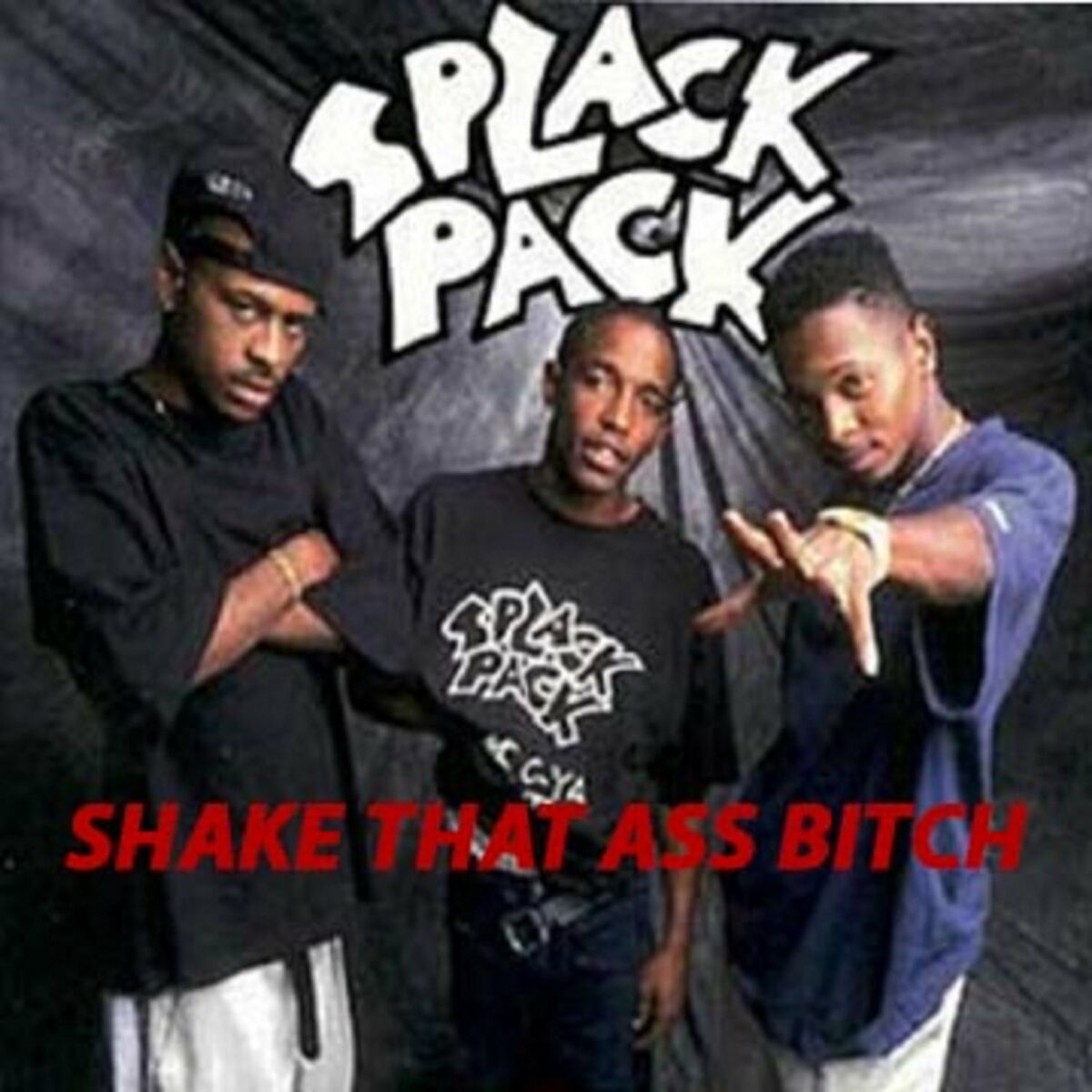 Splack Pack - Shake That Ass, Scrub da Ground XXX (DJ Richie Rich Ultimix):  listen with lyrics | Deezer