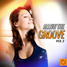 Album cover of Allow the Groove, Vol. 2