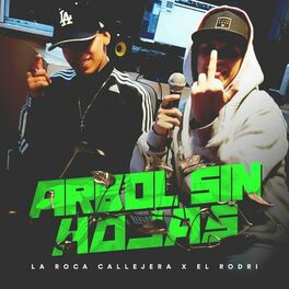 Album cover of Árbol Sin Hojas