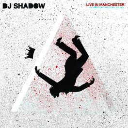 Album cover of Live in Manchester: The Mountain Has Fallen Tour
