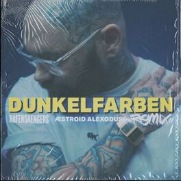 Album cover of Dunkelfarben (Remix)