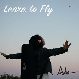 Album cover of Learn to Fly