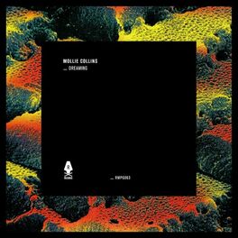 Album cover of Dreaming