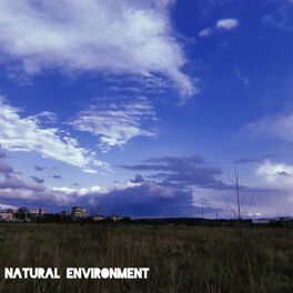 Album cover of Natural Environment