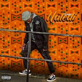 Album cover of Naledi