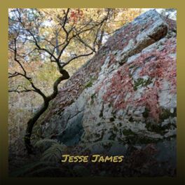 Album cover of Jesse James