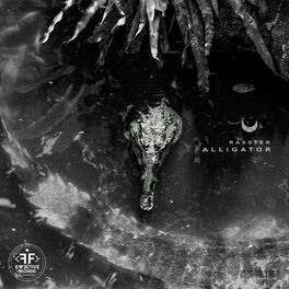Album cover of Alligator