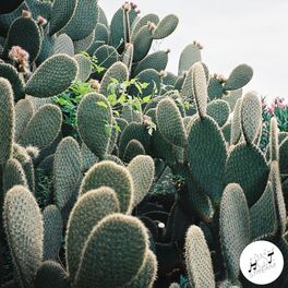 Album cover of Back to the Rhythm