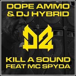 Album cover of Kill A Sound