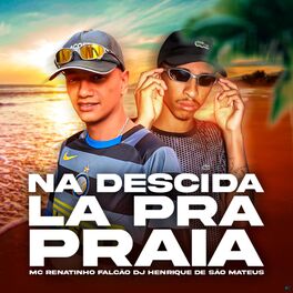 Album cover of Na Descida la pra Praia
