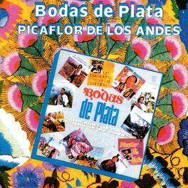 Album cover of Bodas de Plata