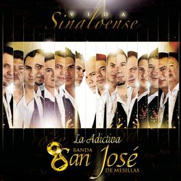 Album cover of Vida Sinaloense