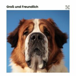 Album cover of Groß und Freundlich