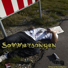 Album cover of Sommersangen
