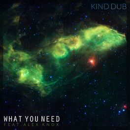Album cover of What You Need (feat. Alex Knox)