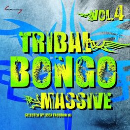 Album cover of Tribal Bongo Massive, Vol. 4
