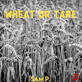 Album cover of Wheat or Tare