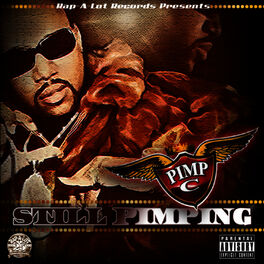 Album cover of Still Pimping