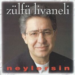 Album cover of Neylersin