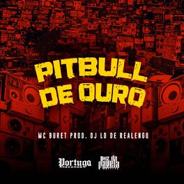 Album cover of Pitbull de Ouro