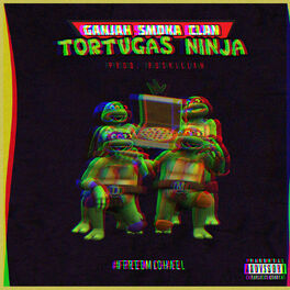 Album cover of Tortugas Ninja
