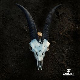 Album picture of Animal