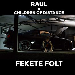 Album cover of Fekete Folt