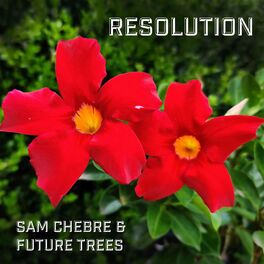 Album cover of Resolution (feat. Sam Chebre)