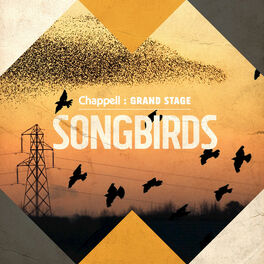 Album cover of Songbirds