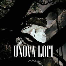Album cover of Unova Lofi