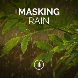 Album cover of Masking Rain